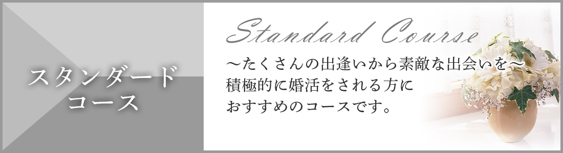 スタンダードコース